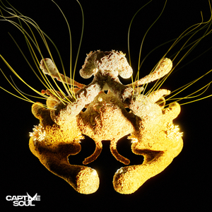 男朋友🐔好大c了我小说
