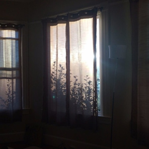 男朋友🐔好大c了我小说
