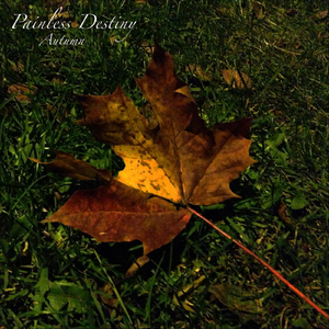 男朋友🐔好大c了我小说
